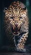 Fierce Encounter: Dramatic Close-Up of an Angry Charging Leopard. Generative AI
