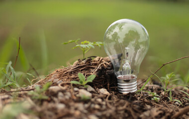 Wall Mural - Concept eco. Lightbulb on green grass  and green background