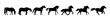 Horse different poses in silhouette. Set of wild stallion. Domestic mustang animal lives in a farm. Vector illustration pony
