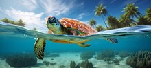 Animals Reptilian Of The Ocean Background - Closeup Of Sea Turtle Underwater Photography Portrait. Water Diving Holiday Coral Reef Swimming Snorkeling, Tourism, Travel Destination (Generative Ai)