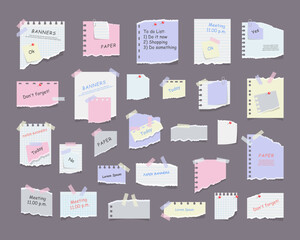paper sticky notes, memo messages, notepads and torn paper sheets. blank notepaper of meeting remind