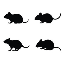Silhouette Mice, Rat And Mouse Collection, Vector Isolated 