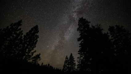 Wall Mural - beautiful time lapse of the stars moving across the night sky in northern california