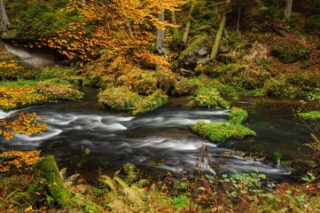 Poster - Autumn colored trees, leaves, rocks around the beautiful river