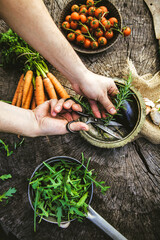 Canvas Print - Fresh organic vegetables. Food background. Healthy food from garden