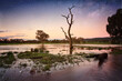 Leinwandbild Motiv A lone dead tree stands among others in the floodwaters in Central West NSW on dusk to evening.