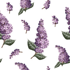 Wall Mural - Seamless pattern with lilac. Vector.