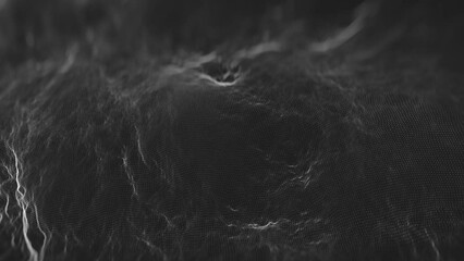 Poster - Abstract Fractal Landscape Surface Background/ 4k animation of a white and black abstract fractal landscape surface background with relief patterns and turbulence lines waving slowly