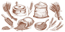 Farm Wheat Concept. Bakery Vector Illustration Set. Baking Bread, Food Collection