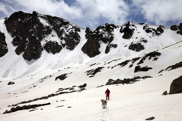 Poster - Hiker and dog in snowy mountains at spring. Turkey, Kachkar Mountains, highest part of Pontic Mountains.