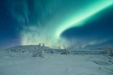 Poster - Beautiful Northern lights in a snow covered remote area in Iceland