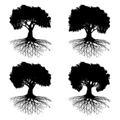 Poster - Illustration Collection silhouette tree with roots on a white background.