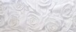 White roses, 3d coming out of background, with shadows. Wedding invitation and  Valentines Day Card  background.