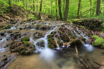 Wall Mural - Beusnita river in Beusnita National Park, Romania