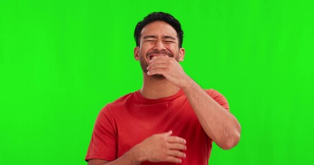 Wall Mural - Comic, funny or laughter with a man on a green screen background in studio for humor or joking. Portrait, smile and comedy with a happy young asian male laughing at a meme on chromakey mockup