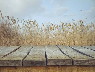 Wall Mural - wooden  table. Wood empty tabletop for your montage. Wood planks with landscape