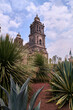 View of the metropolitan cathedral in the zocalo with maguey and sky with clouds, mexico city 