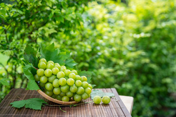 Wall Mural - Shine Muscat Grape with leaves in blur background, Green grape in Bamboo basket on wooden table in garden.