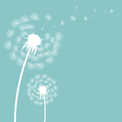 Wall Mural - Dandelion Postcard With Gradient Mesh, Vector Illustration