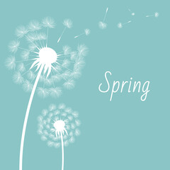 Sticker - Dandelion Postcard With Gradient Mesh, Vector Illustration