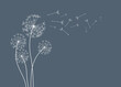 Dandelion wall decal,flow in the wind wall decal,dandelion wall stickers,dandelion flying wall decal children's room 