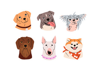 Wall Mural - Cute dogs avatars set. Canine breeds, doggies heads portraits. Adorable muzzles, snouts of bull terrier, pudelpointer, shiba inu puppies, pups. Flat vector illustrations isolated on white background