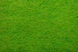 Fototapeta  - Intensywna pusta jasno zielona tapeta, utworzona z szorstkiej gąbki w zbliżeniu macro