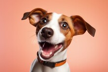 Portrait Of Puppy With Shocked Smiling Face, Funny Face, Close Up Photo On A Colored Background. Made With Generative AI