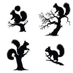 Wall Mural - set of silhouettes of squirrels