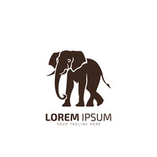Elephant Logo Icon Designs Vector Silhouette