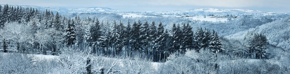 Canvas Print - Tranquil winter landscape featuring a snow-covered field with trees and distant mountains