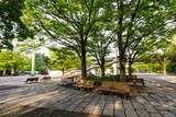 夏の朝、代々木公園イベント広場（東京都渋谷区）