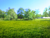 natural grass field background with blurred bokeh and sun