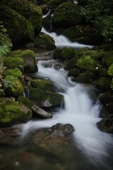 Sticker - water runs down a river with mossy rocks on the side