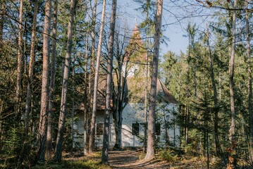 Wall Mural - trees in front of a small white house in the middle of a forest in Janzeva Gora Slovenia