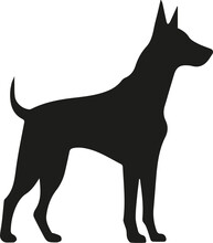 Doberman Dog Icon. Black Silhouette. Vector Illustration. Flat Design.
