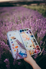 a palette of colors in the hands on a background of a lavender field