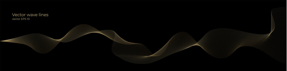 vector wave dynamic gold lines. smooth curve gold gradient color on black background. luxury backgro