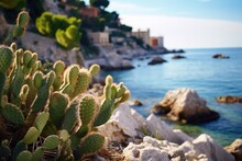 Cactus Plants, Succulent Outdoors On Mediterranean Coast. Generative AI
