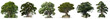 seria drzew, Ilustracja bez tła, png, wygenerowane przez AI