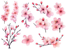 Cherry Blossom Branches. Japanese Blooming Trees, Sakura Flowers Spring Decor Hand Paint Illustration Set. Generative AI