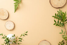 Simple Natural Design Concept. Top View Photo Of Empty Space Surrounded By Round Wooden Plates And Branches Of Eucalyptus And Bracken On Isolated Beige Background With Copy-space
