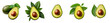 Avocado set. Set of different avocado halves. Isolated on a transparent background cut avocado.
