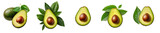 Fototapeta  - Avocado set. Set of different avocado halves. Isolated on a transparent background cut avocado.