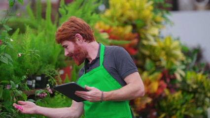 One young entrepreneur inspecting inventory inside retail business store using tablet device. A male redhead person wearing green apron using modern technology