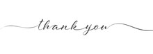 Stylized Calligraphic Inscription Thank You In One Line