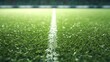 Football ,soccer, pitch with grass pattern.3d rendering