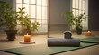 © Eli Berr - Yoga mat in yoga room with plant ,scented candle and mirror. 3d rendering