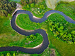 Meanders of the Pilica river