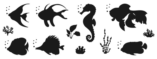 Black silhouette of marine life. Set of elements for design in marine style. Shadow of various fishes, algae and corals